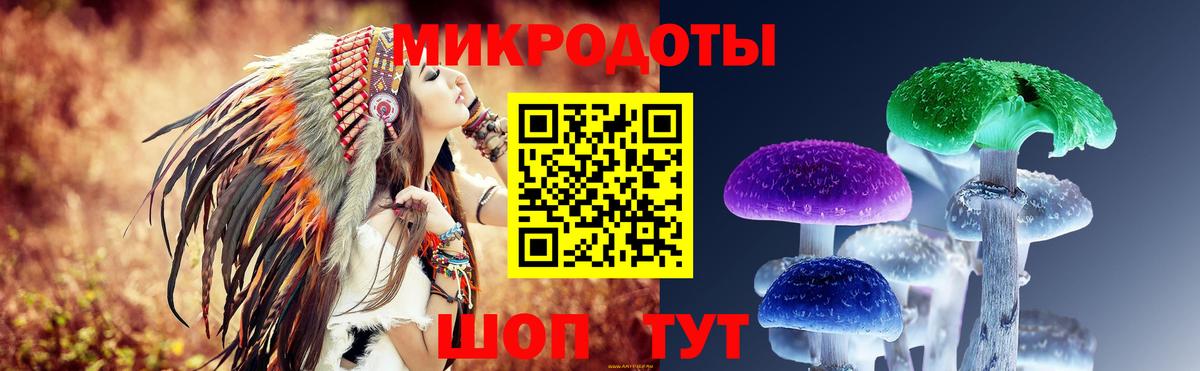 Галлюциногенные грибы Psilocybine cubensis  Галлюциногенные грибы GOLDEN TEACHER  Темрюк  Вход с VPN 